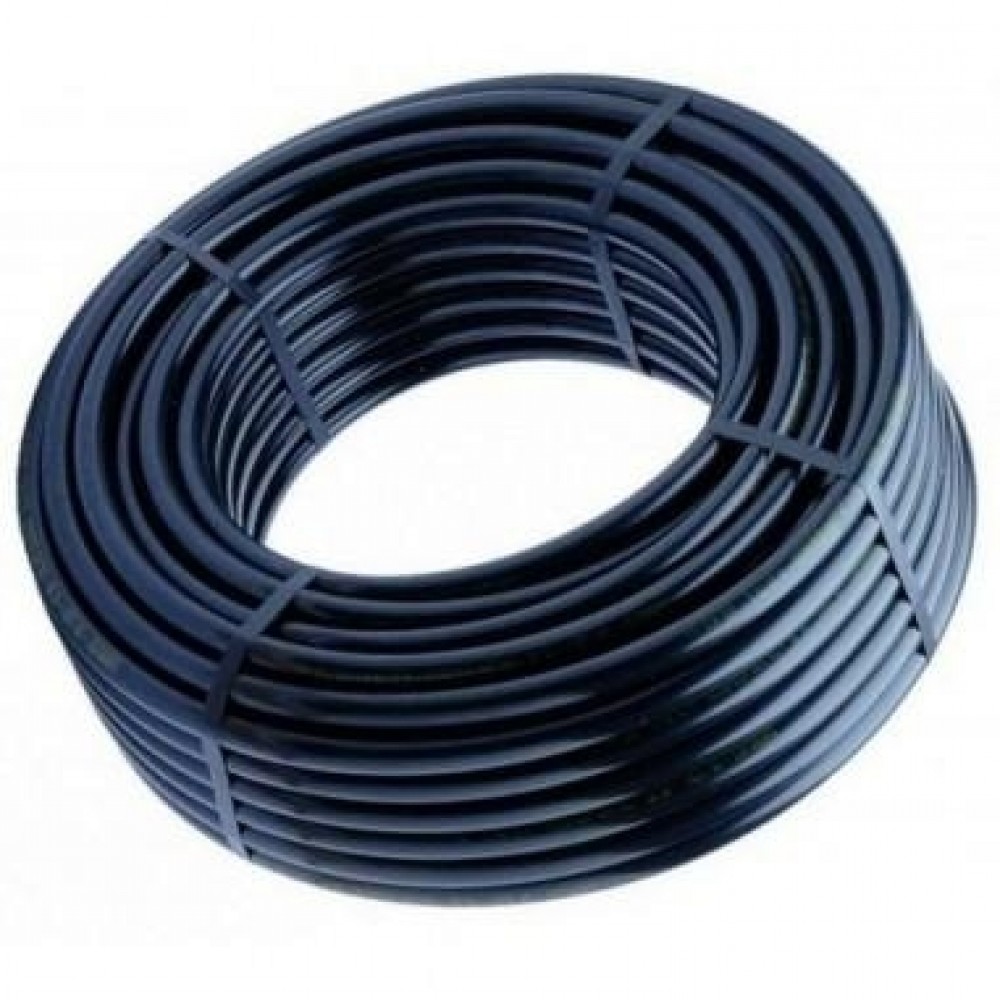 rollo-01861